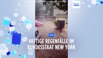 New York: Frau ertrinkt beim Versuch, Hund zu retten