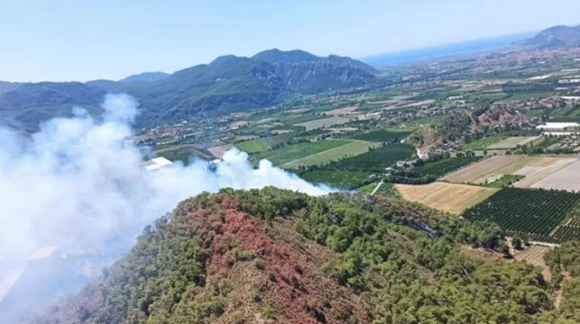 Muğla'nın Ortaca ilçesinde orman yangını