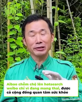 Aibao lên thẳng No.1 hot search vì mang thai lần 2, công chúa Fubao sắp làm chị, Lebao cứ mạnh mẽ thế này thì còn xa vợ dài dài | Điện Ảnh Net