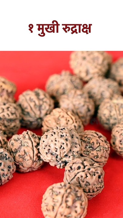 १  मुखी रुद्राक्ष धारण करण्याचे फायदे Benefits of wearing Ek Mukhi Rudraksha | Astro Tips | SG5