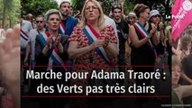 Marche pour Adama Traoré : des Verts pas très clairs