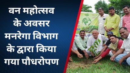 पूर्वी चम्पारण: वन महोत्सव के अवसर मनरेगा विभाग ने किया पौधरोपण, देखिये पूरी खबर