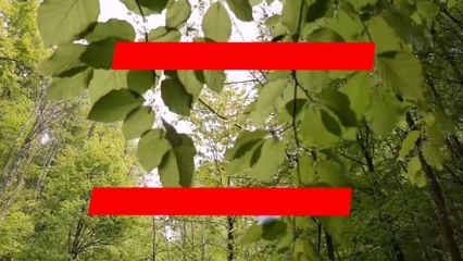 Sapphire Day to Day Volume-I Summer Collection Part-1