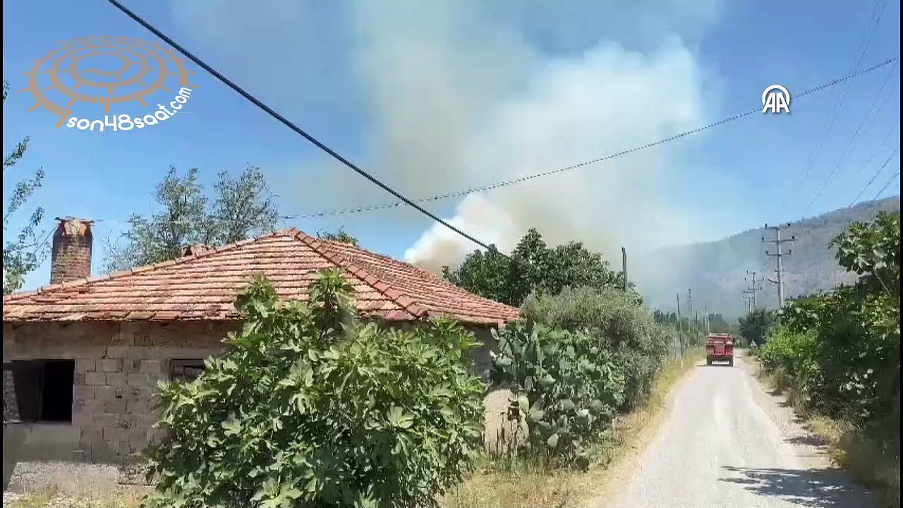 Muğla Dalyan’da orman yangını