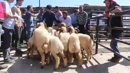 Les blessures du tremblement de terre sont en train de cicatriser, les débris ont été distribués aux producteurs de la ville.
