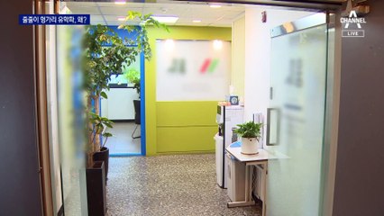 헝가리 유학파 의사 최대, 왜?…의대 진학 상담도 늘어