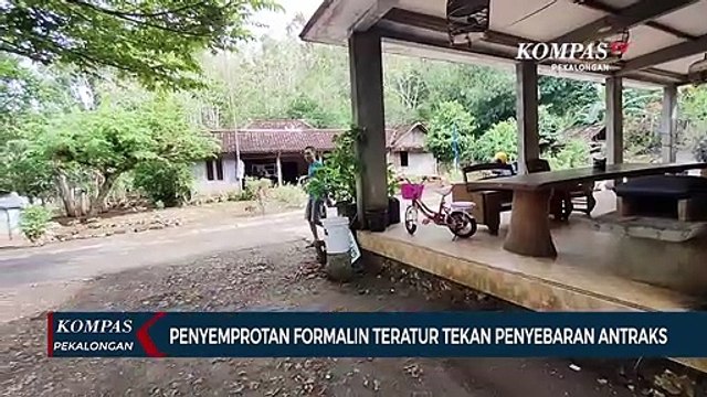 Warga Gunungkidul Semprot Formalin untuk Cegah Penyebaran Antraks