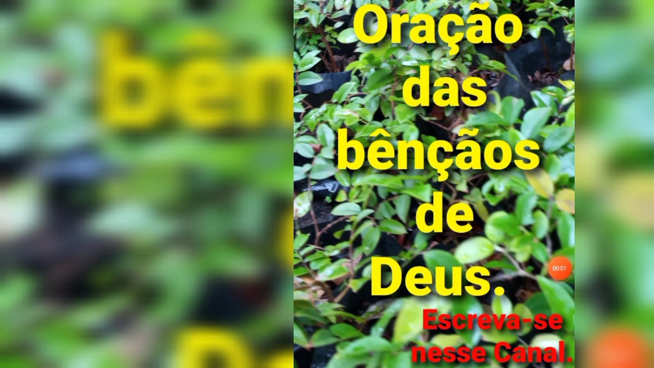 Oração das bênçãos de Deus. Bênçãos de Deus.