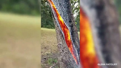 One in A Million Moments in Nature