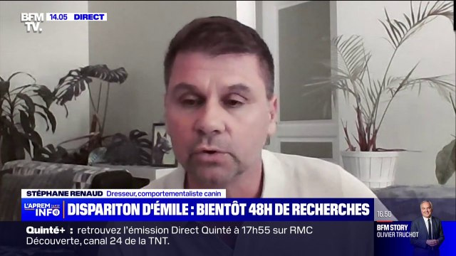 Disparition d'Emile: Le Saint-Hubert est le chien qui est privilégié dans ce type de recherche , explique Stéphane Renaud, dresseur canin
