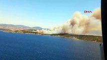 İzmir'de Aliağa ve Menderes ilçelerinde orman yangını çıktı