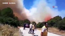 İzmir'in iki ilçesinde orman yangını! Karadan ve denizden tahliyeler başladı