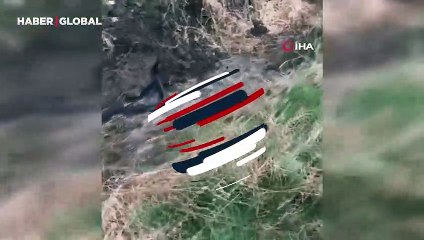 Yolda yürürken rastladığı iki yılanın çiftleşme dansını şaşkınlıkla görüntüledi