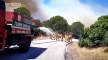 İzmir'deki orman yangınına havadan ve karadan müdahale sürüyor