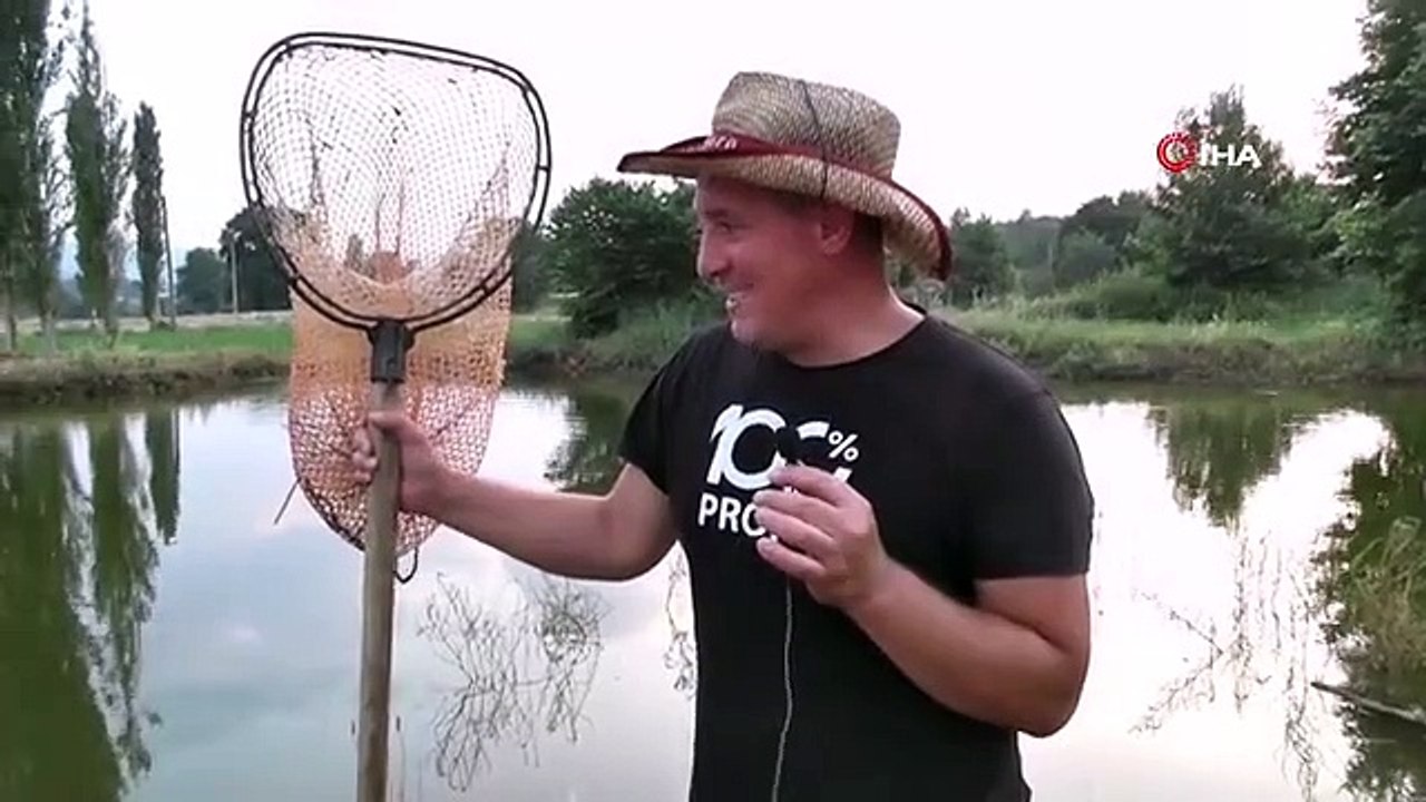 Début de la production de 100 000 carpes miroirs sur le terrain