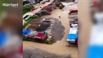 Giresun'da şiddetli sağanak... Dere taştı, evleri su bastı