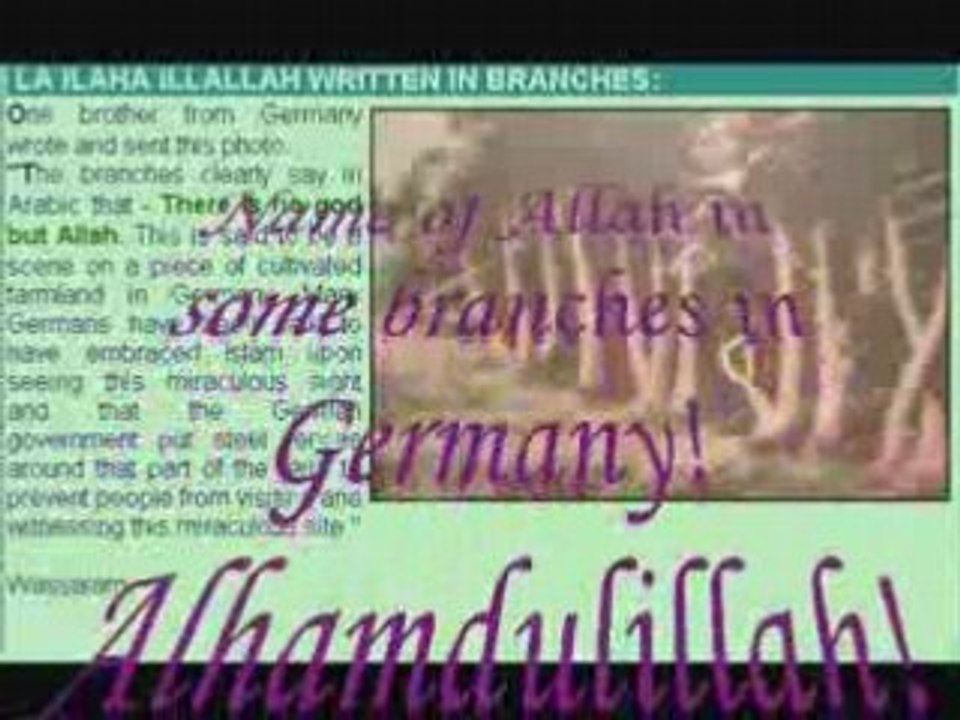 Miracles_of_Allah!