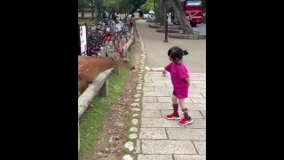 Cette fillette et ce cerf s'entendent à merveille