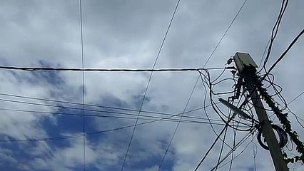 बिजली कंपनी की ओर से रहवासी इलाकों में डाली गई केबल पर बड़ा खेल