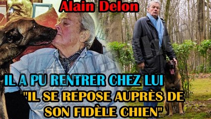  Alain Delon : C'est une nouvelle importante concernant l'acteur et son chien LOUBO.