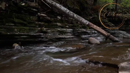 Old School mix by DJ Chohan