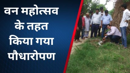 पश्चिमी चंपारण: जल जीवन हरियाली योजना से मुखिया ने वृक्षारोपण कर पर्यावरण को दिया संरक्षण