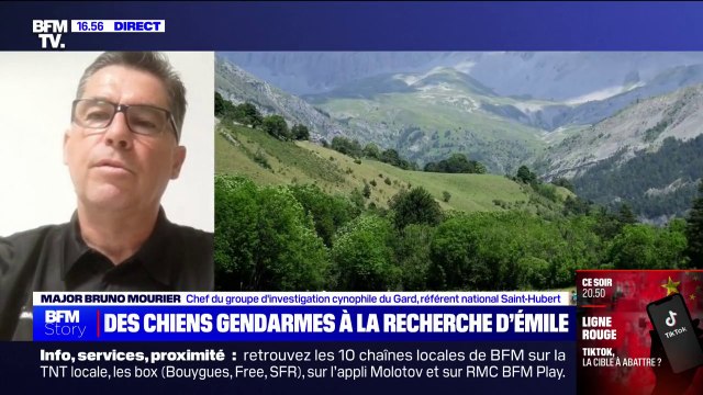 Recherche d'Émile: Un chien bien entraîné peut pister environ 3 ou 4 kilomètres explique le major Bruno Mourier, chef du groupe d'investigation cynophile du Gard