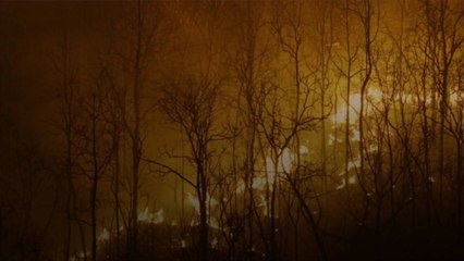 Les incendies canadiens en cours battent des records