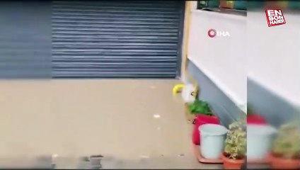 Bolu'ya metrekareye toplam 184,4 kilogram yağmur düştü