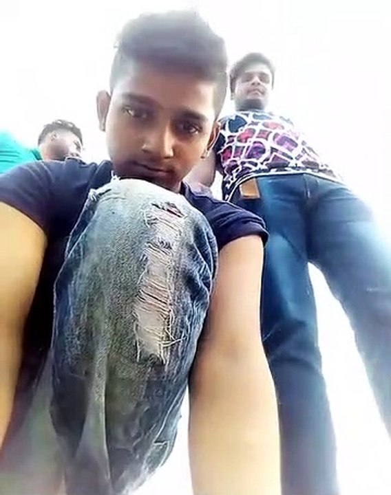 Et oui, les guêpes détestent le rap