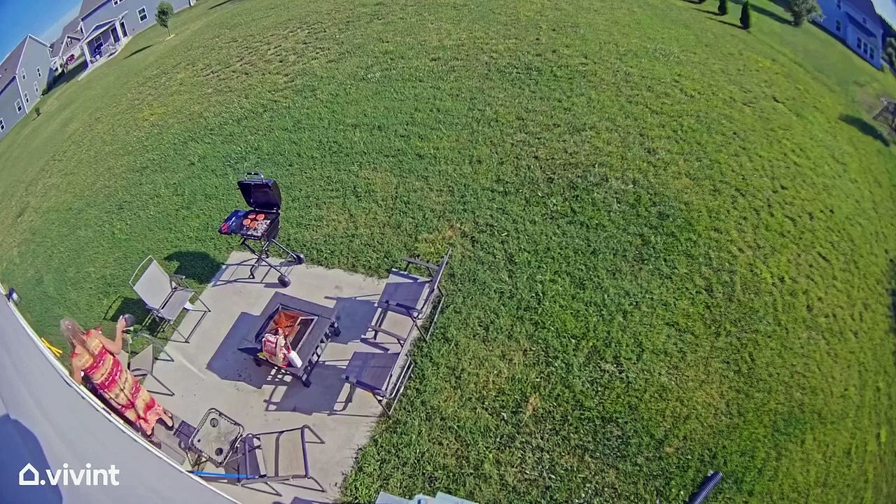 Un chien nerveux provoque le chaos sur la terrasse