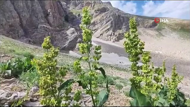 Temmuz ayı sıcaklığında Mereto Dağı'nda kar yemenin keyfini yaşadılar