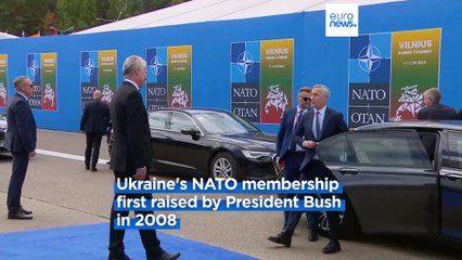 Ukraine's NATO ambitions to top the agenda at Vilnius summit