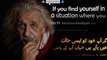 An Intelligent Person Avoids 5 Things In Life.. | Albert Einstein Quotations | Quotes, Wise Thoughts