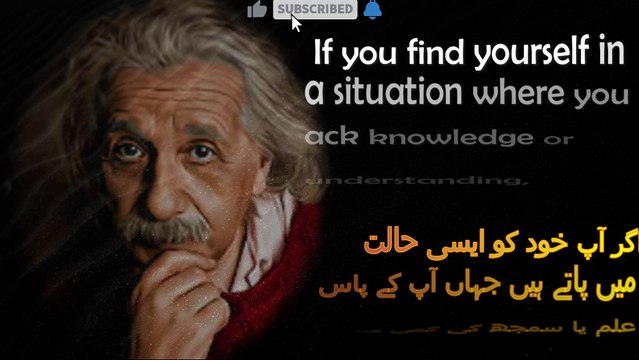 An Intelligent Person Avoids 5 Things In Life.. | Albert Einstein Quotations | Quotes, Wise Thoughts