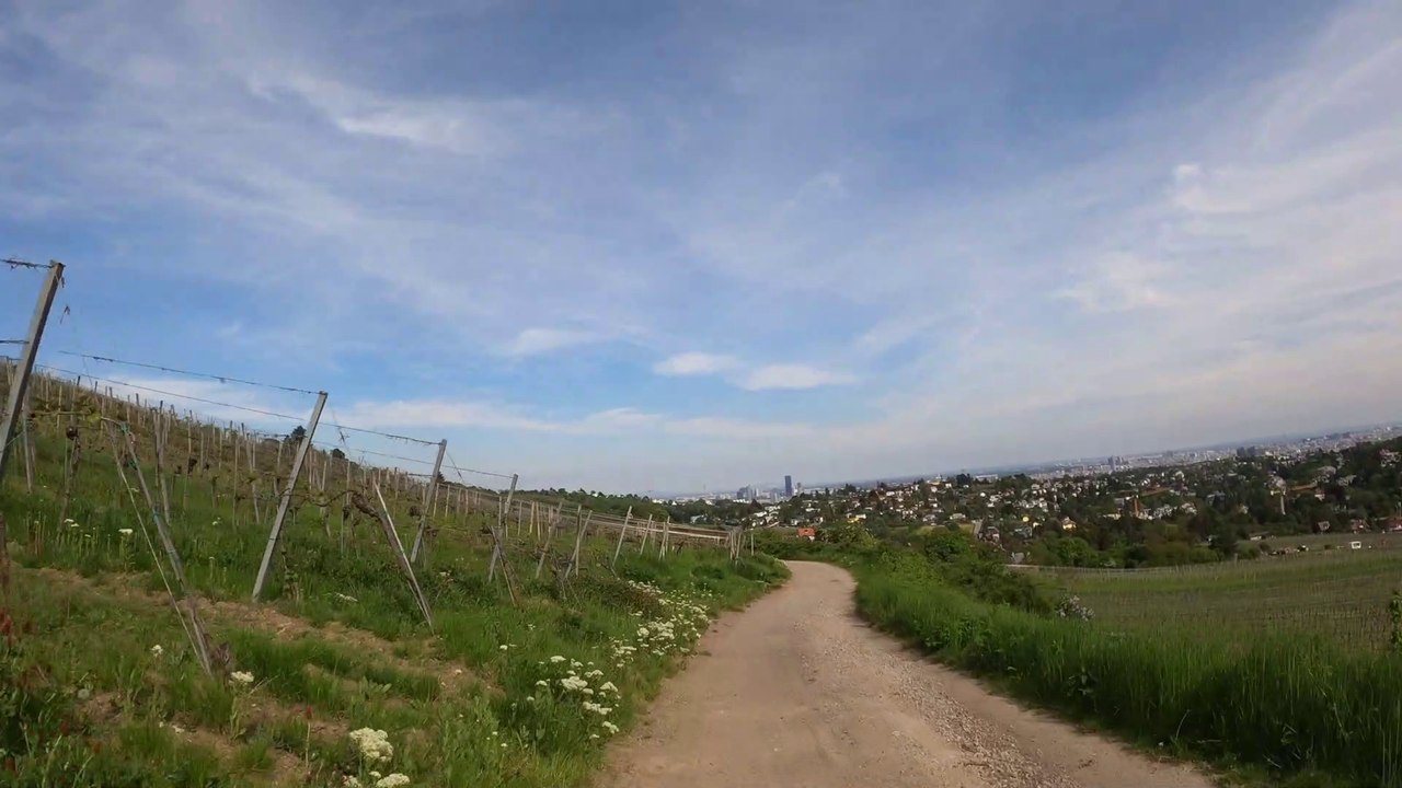 Wien am Rad: Über die Zierleitengasse durch die Weinberge