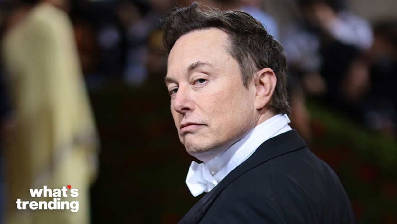 Elon Musk Sleeps At Twitter HQ And Claims His Company Breaks Even In Conversation With BBC