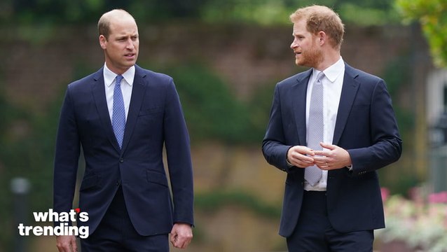 Prince William Doesn't Even Recognize Prince Harry After Tea Filled Memoir