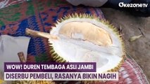 Wow! Duren Tembaga Asli Jambi Diserbu Pembeli, Rasanya Bikin Nagih