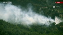 Hatay'daki orman yangını ikinci gününde:  7 ev yandı, 4 araç hasar gördü