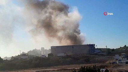 Muğla'da lojistik firmasına ait depoda yangın çıktı