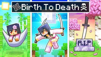 BIRTH To DEATH of a NINJA In Minecraft!