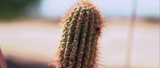 The Beginning of the End (257) – A Powerful Farewell Episode