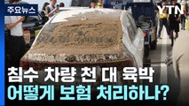 집중호우로 침수 차량 천 대 육박...어떻게 보험 처리 하나? / YTN