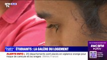 Peu d'offres, loyers en hausse... La galère des étudiants en recherche de logement