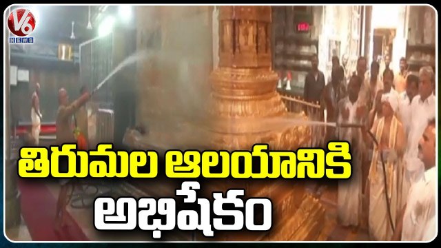 Koil Alwar Thirumanjanam Performed In Tirumala, VIP Darshans Cancelled By TTD | V6 News