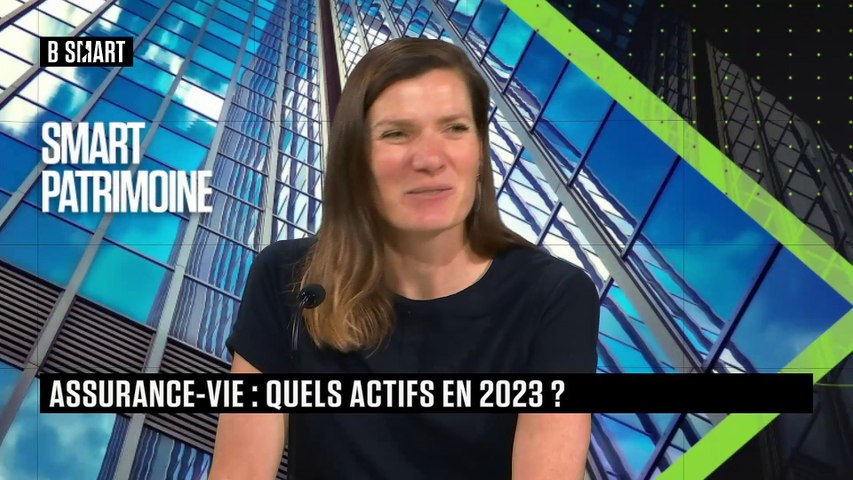 Assurance-vie : la mi-année, le moment des arbitrages ?