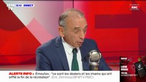 Éric Zemmour, sur le profil des émeutiers: 