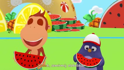 Yaz Geldi   Kukuli - Çizgi Film ve Çocuk Şarkıları - YENİ KLİP