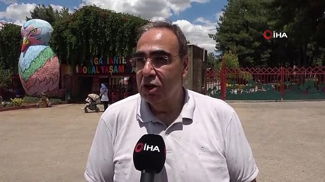 Annesi tarafından terk edilen lamaya bakıcıları sahip çıktı